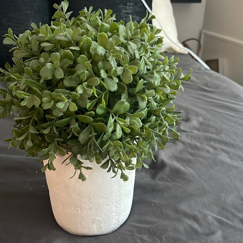 Green artificial plant in white pot